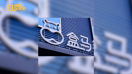 西安盒馬經營范圍拓展 新增攝像與洗染服務，構建一站式生活服務生態