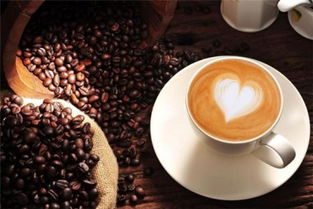 上島岸香咖啡加盟費(fèi)用解析 總投資16.55萬(wàn)元背后的商業(yè)機(jī)會(huì)
